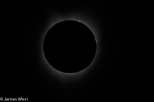 Mid totality with visible prominences.