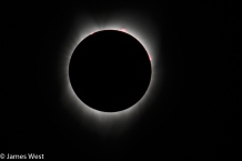 Mid totality with prominences visible.